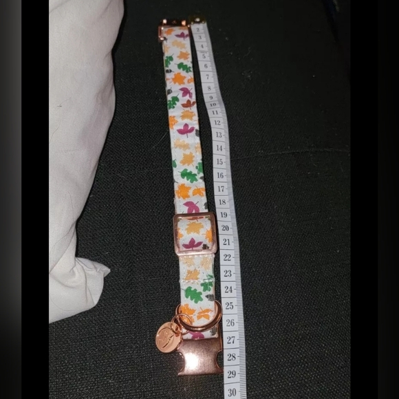 Dogwong Fall Collar With Flower XS/Small - Picture 4 of 8